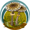 Champignons
