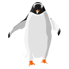penguin