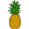 Pineapple Nature Exotic