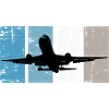 Aircraft Pilot Aviation