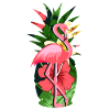 Flamingo Rosa