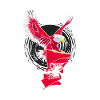 Bandiera Albania Kosovo Shqiptar Bandiera Kuq E zi