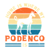 Podenco chien Ibizan Hound