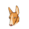 Podenco Frau Hunde Mama Geschenk
