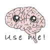 Brain Anatomy