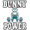 Fitness Muscles Training Weight