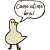 Funny Pigeon