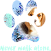 never walk alone,,paw,dog,beagle,pastel