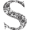 S Lace Letter Dentelle