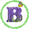 lavender b