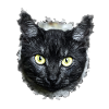 black cat black cat