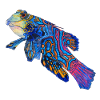 Poisson mandarin