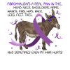 Fibromyalgia Donkey Fibromyalgia Awareness