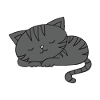 Katzenpapa
