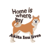 My Akita Inu