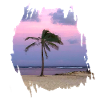 PARADISIAQUE BEACH SAINT ANNE GUADELOUPE