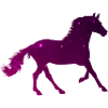 Sternenpferd - Süß Reiten Galaxy Pferd Geschenk