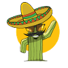 cactus. Mexico. sombrero.