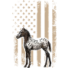 Drapeau Appaloosa Chevaux Appaloosa