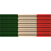 Italy Flag 2021