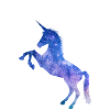 Galaxy Space Einhorn