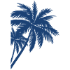 Palme Palm