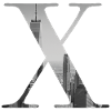 New York Letter X