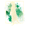 Suricate