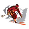 Skier