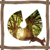 la forêt avec écureuils
