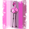 Flamingos Flamingo