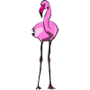 Flamingos Flamingo