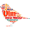 Ulmer Spatz