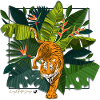 Tiger and Jungle Square Illustration