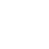 Shih Tzu Papa