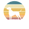 Weimaraner