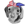 Dog With USA Flag Bandage