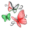 Palästina-Schmetterling