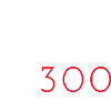 speed club 300 km/h