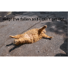 HELP!