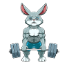 Rabbit Fitness Muscles Training Weight