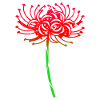 Regalo tatuaggio tribale fiore giglio ragno rosso