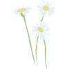 Fleurs fleurs bleu