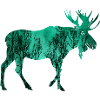 elk