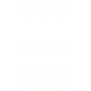 Islandpferd
