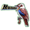 Cartoon kookaburra
