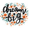 Dream Big