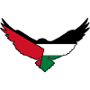 Eagle Palestine