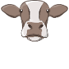 Moo vache