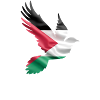 Palestine libre avec pigeon